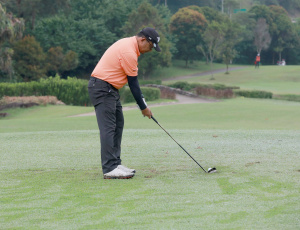 Golf15
