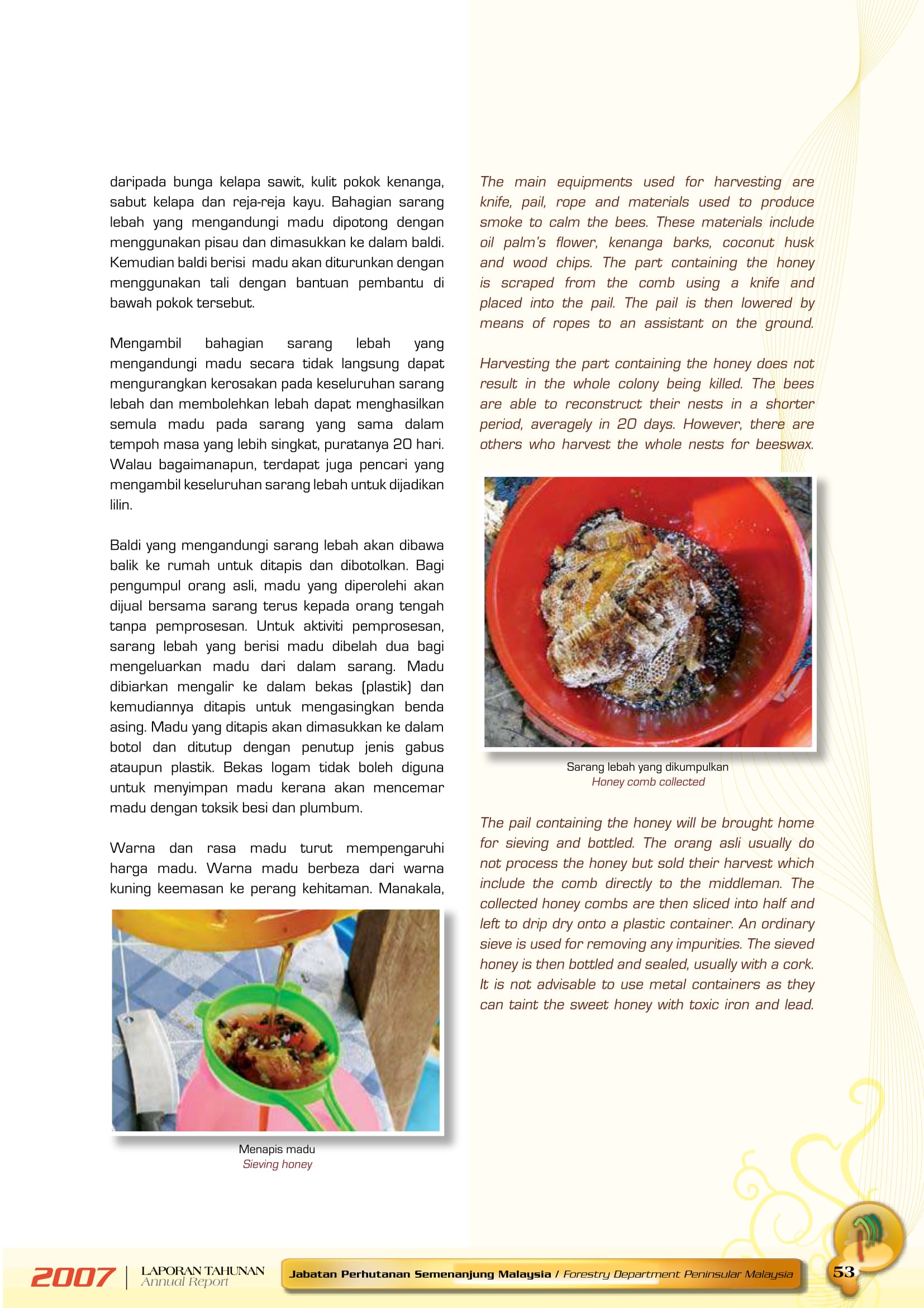 Jabatan Perhutanan Semenanjung Malaysia - Laporan Tahunan 2007 