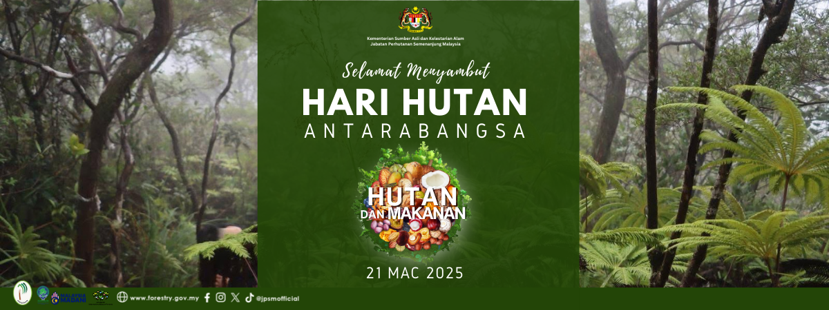 Hari Hutan Antarabangsa 2025 BM