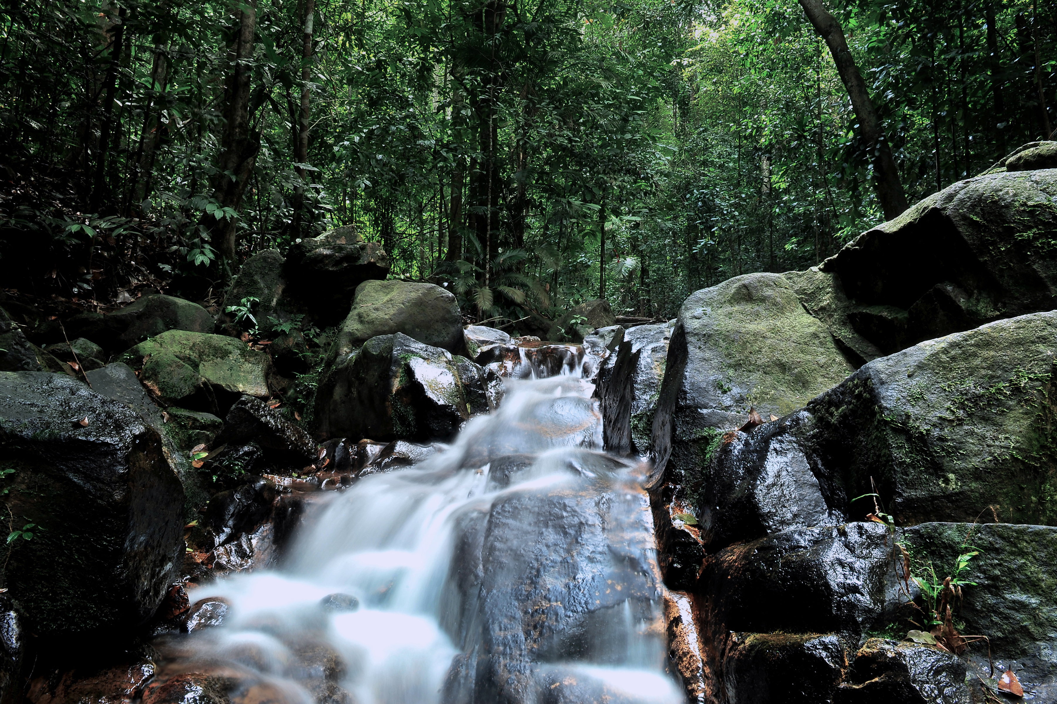 Gunung Pulai 2 siri 1 