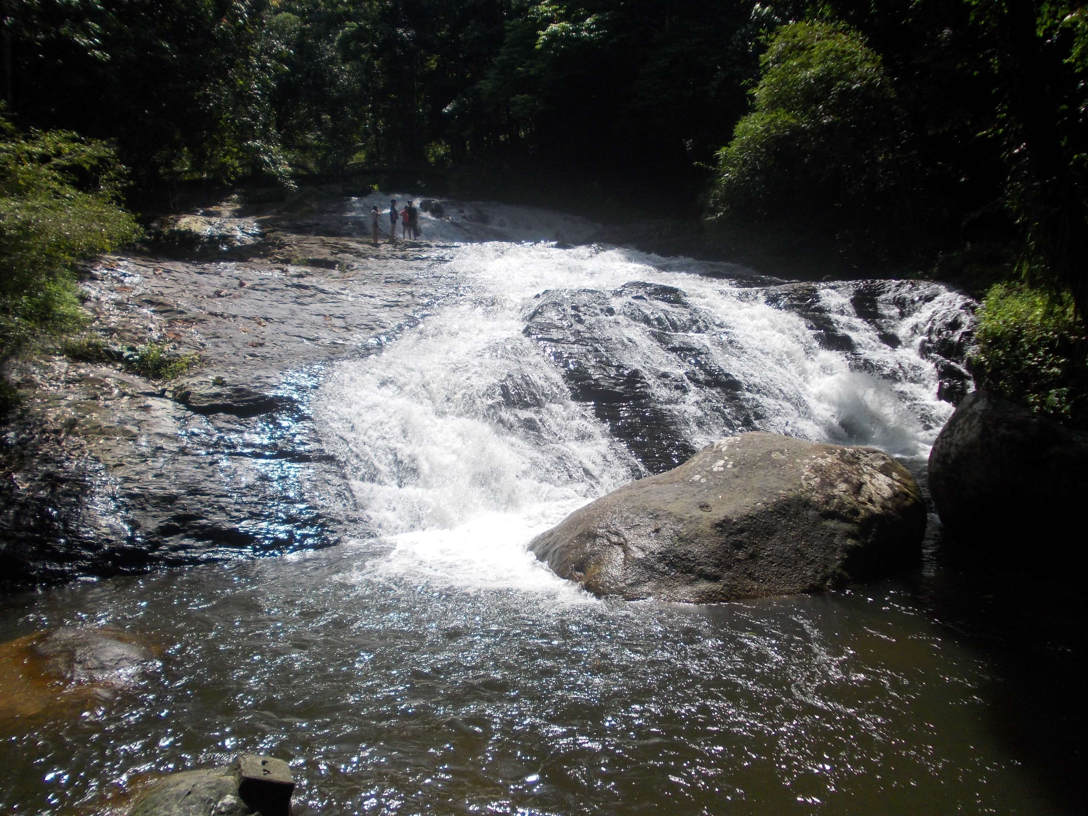 Bukit rimba ayer eko taman Geotapak Eko