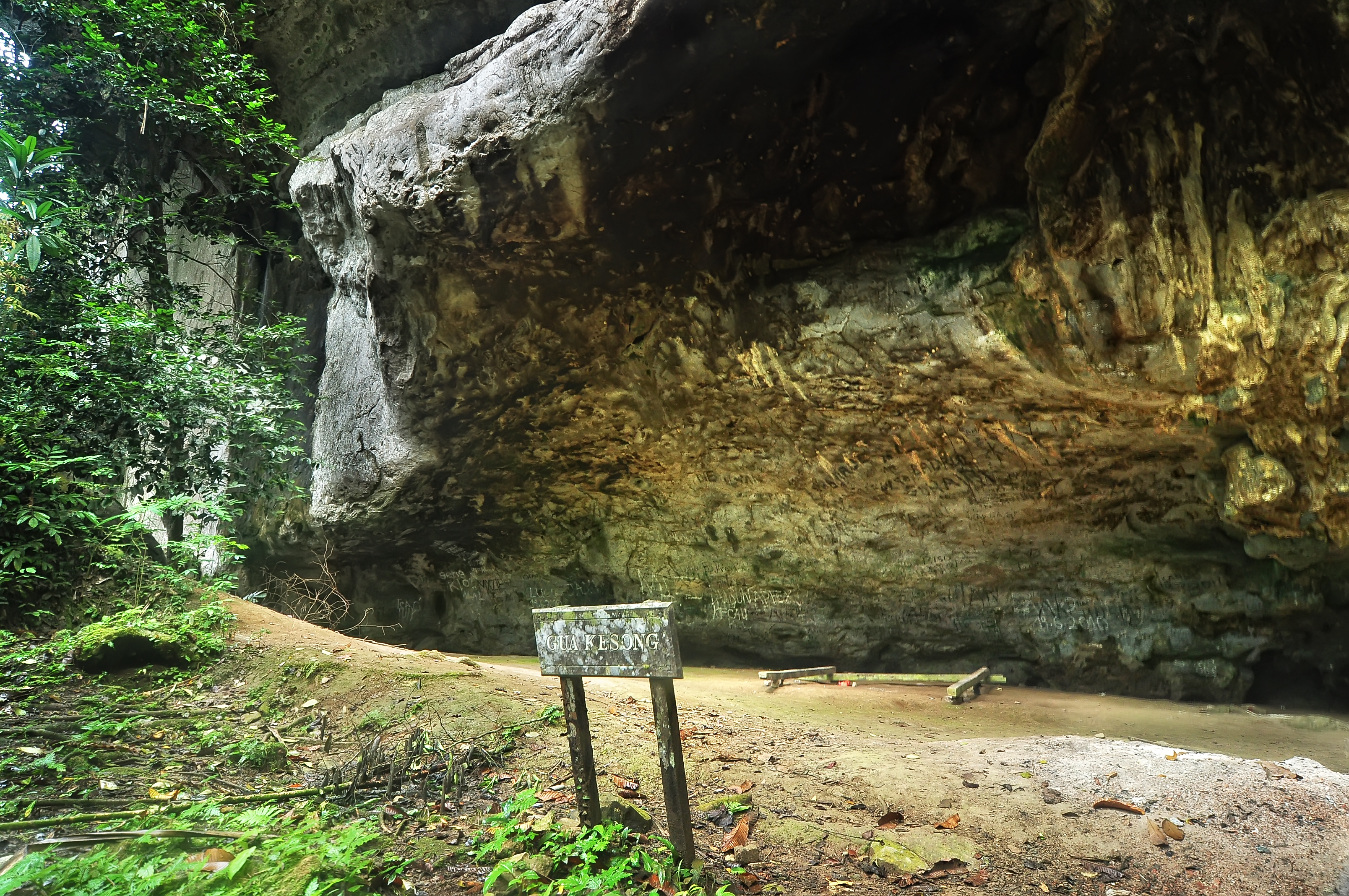 Kenong Forest Eco-Park