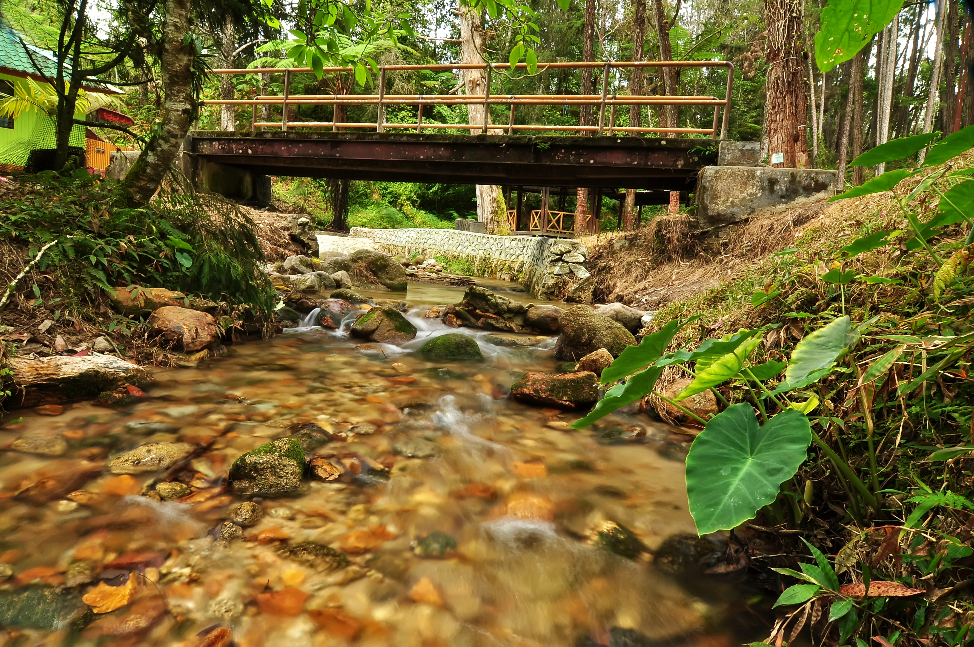 Sungai Pauh Forest Eco-Park