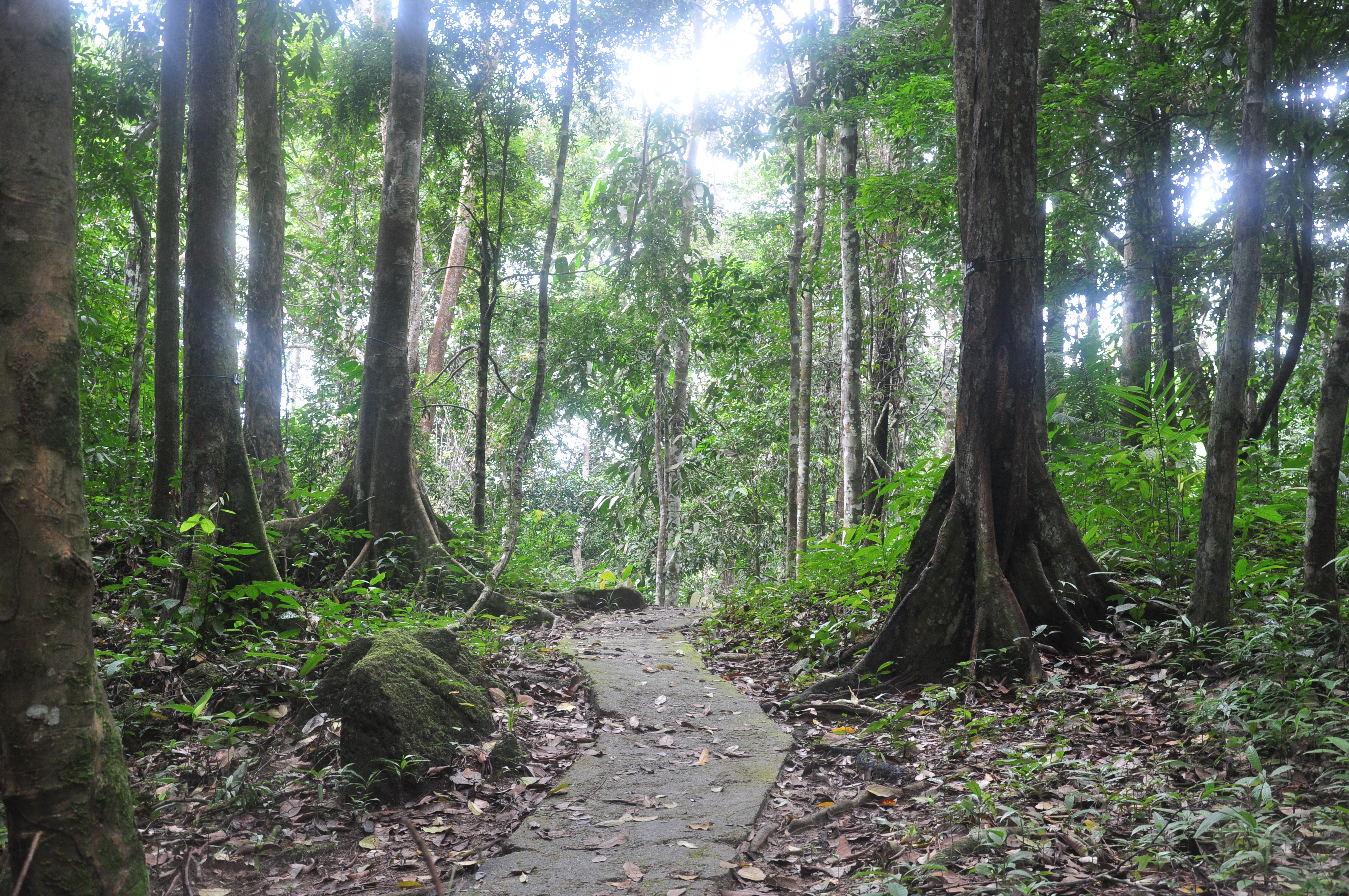 Taman Eko-Rimba Sungai Rambai