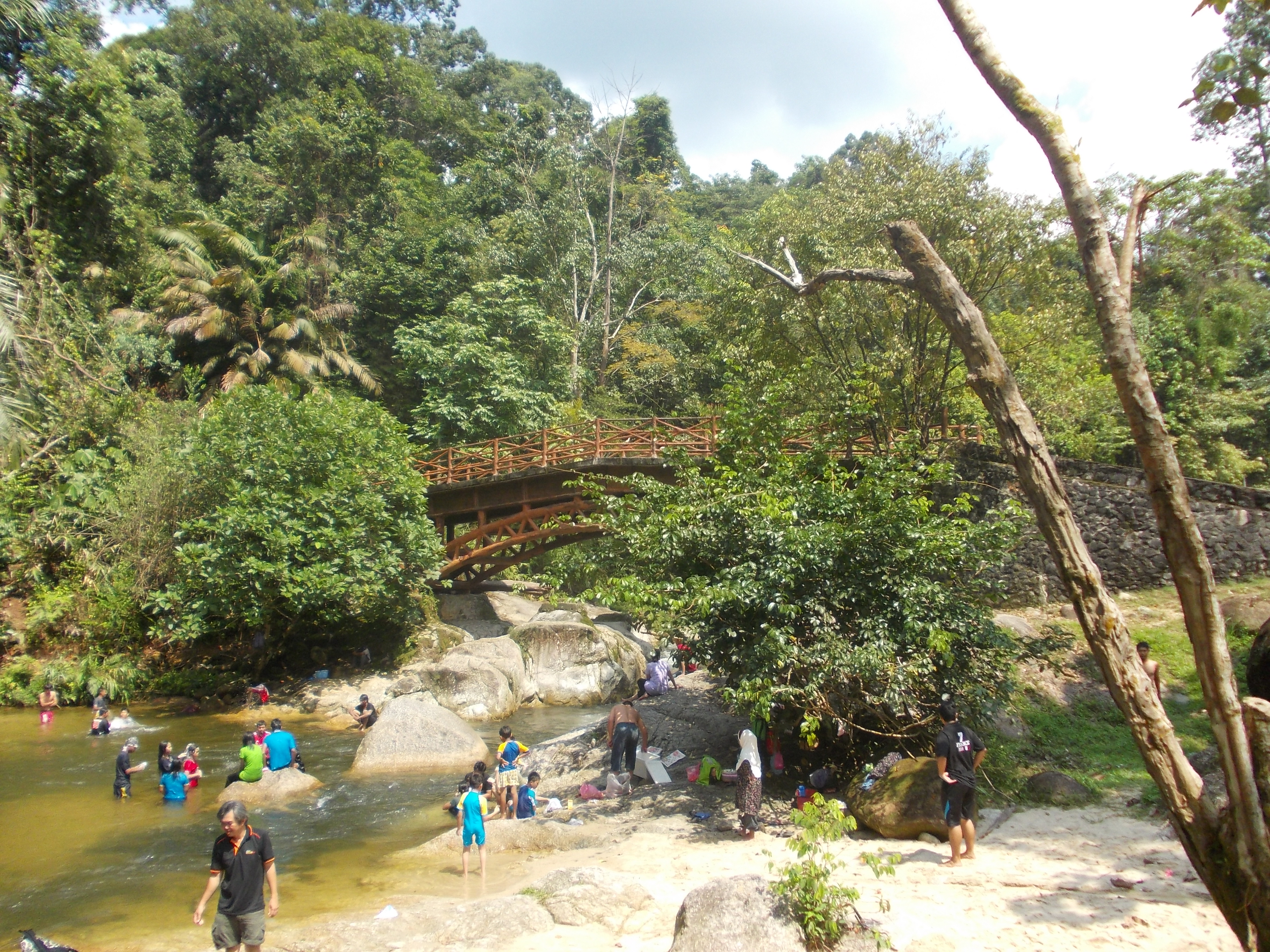 Taman Eko-Rimba Sungai Sedim