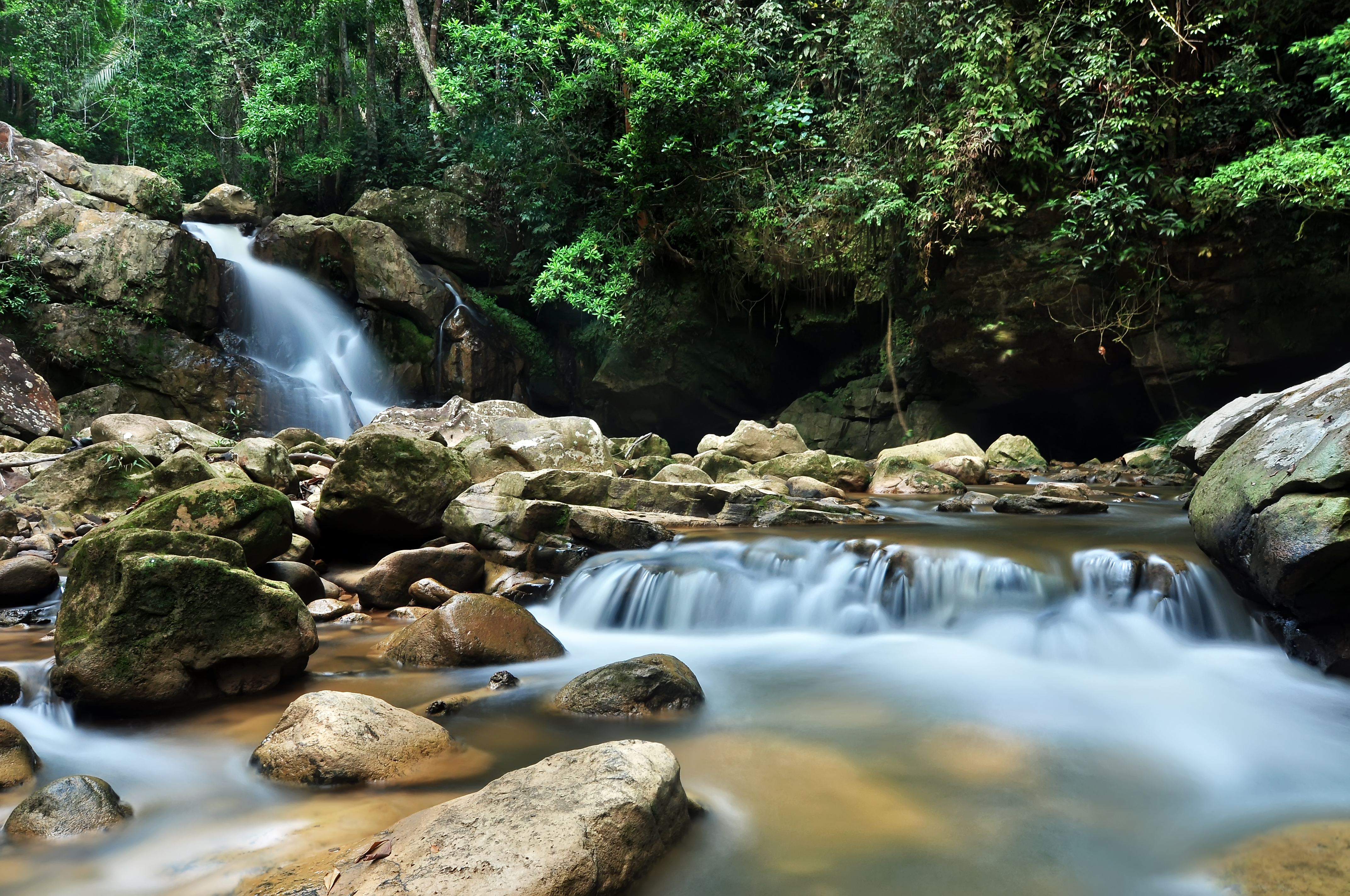 Teladas Forest Eco-Park