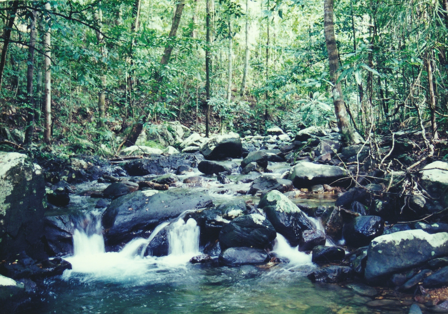 Taman Eko-Rimba Telaga Tujuh