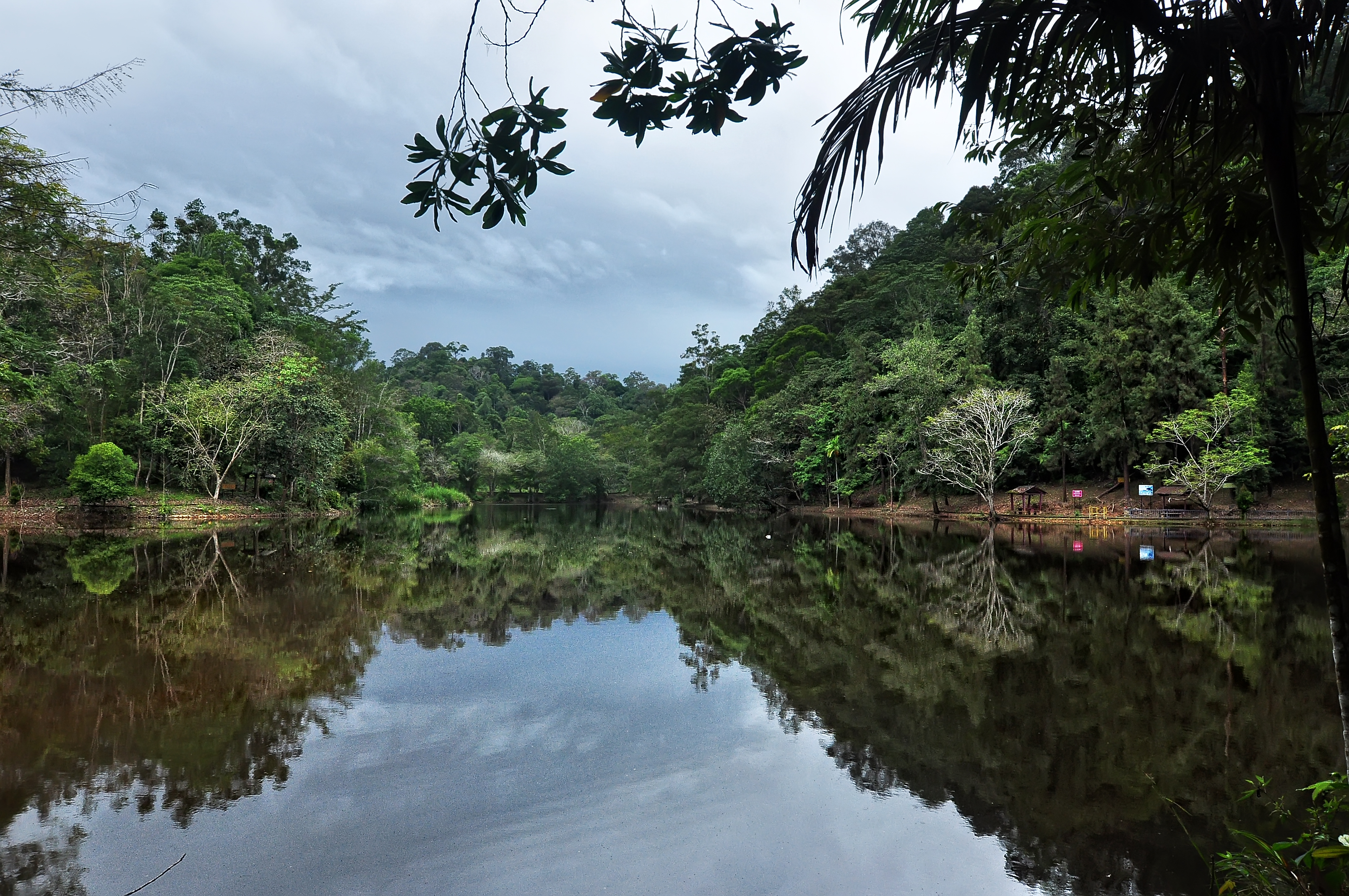 Terenggun Forest Eco-Park