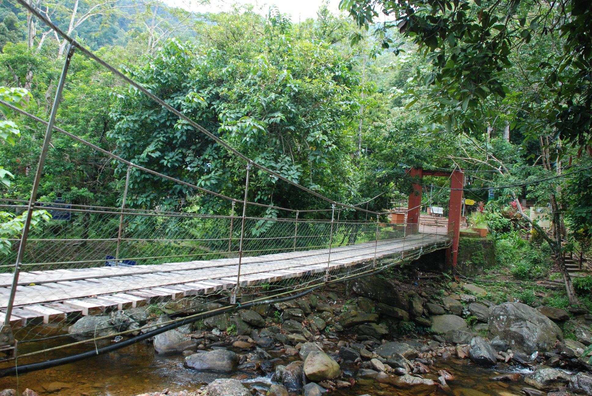 Taman Eko-Rimba Titi Hayun