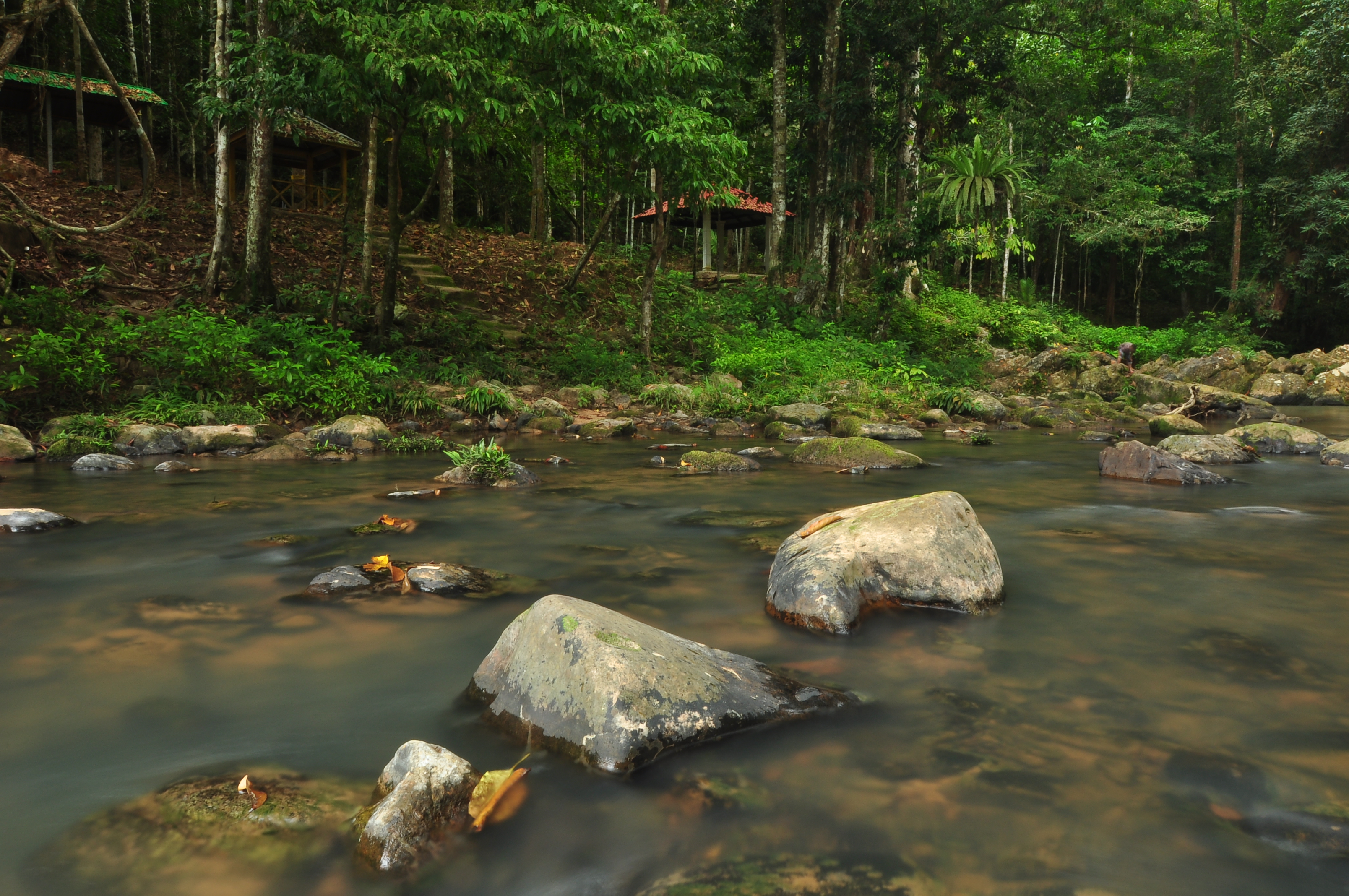 Ulu Tembeling Forest Eco-Park