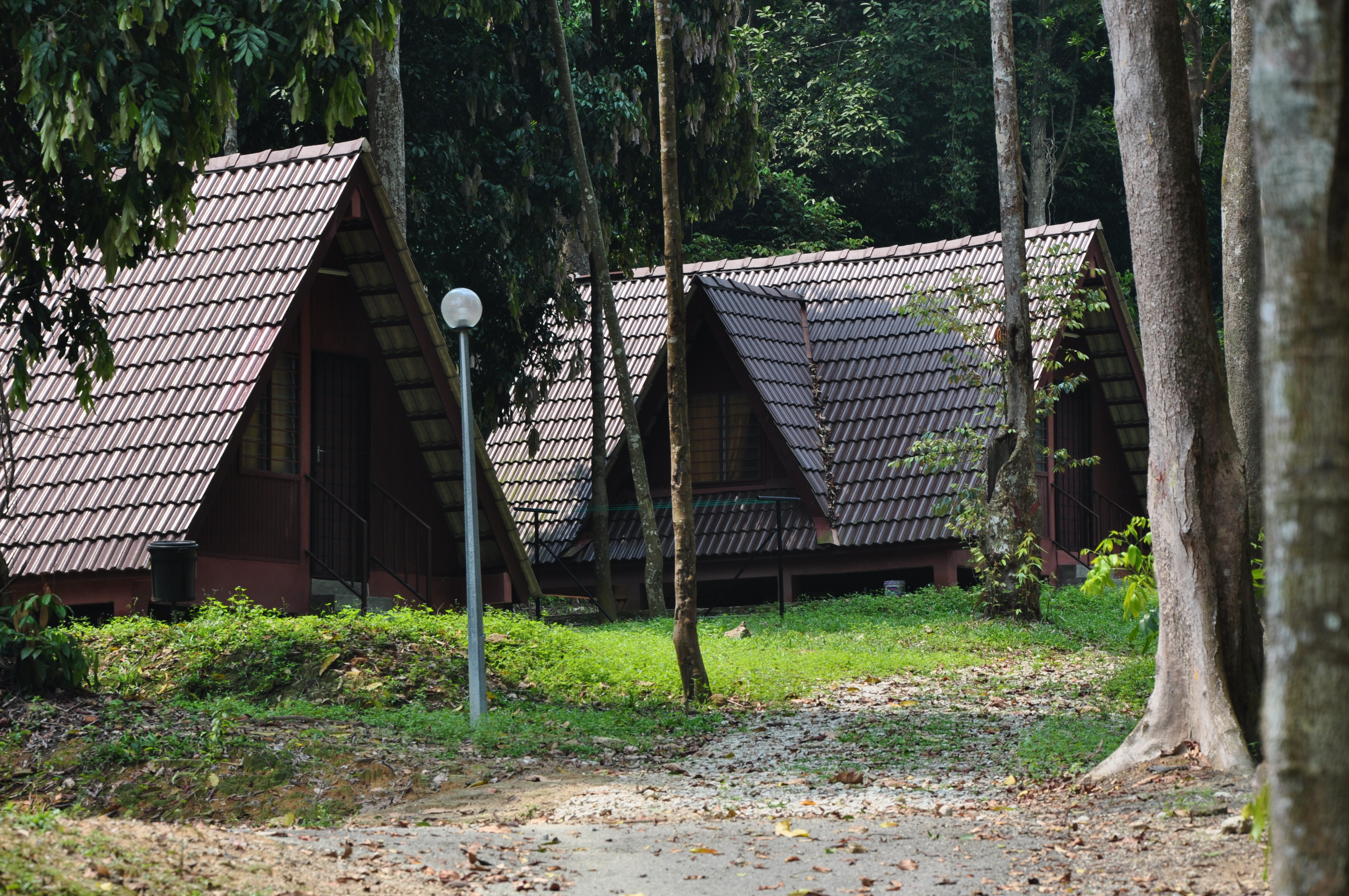 Taman eko rimba bukit ayer