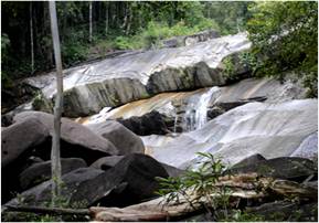 Lata Belatan Amenity Forest