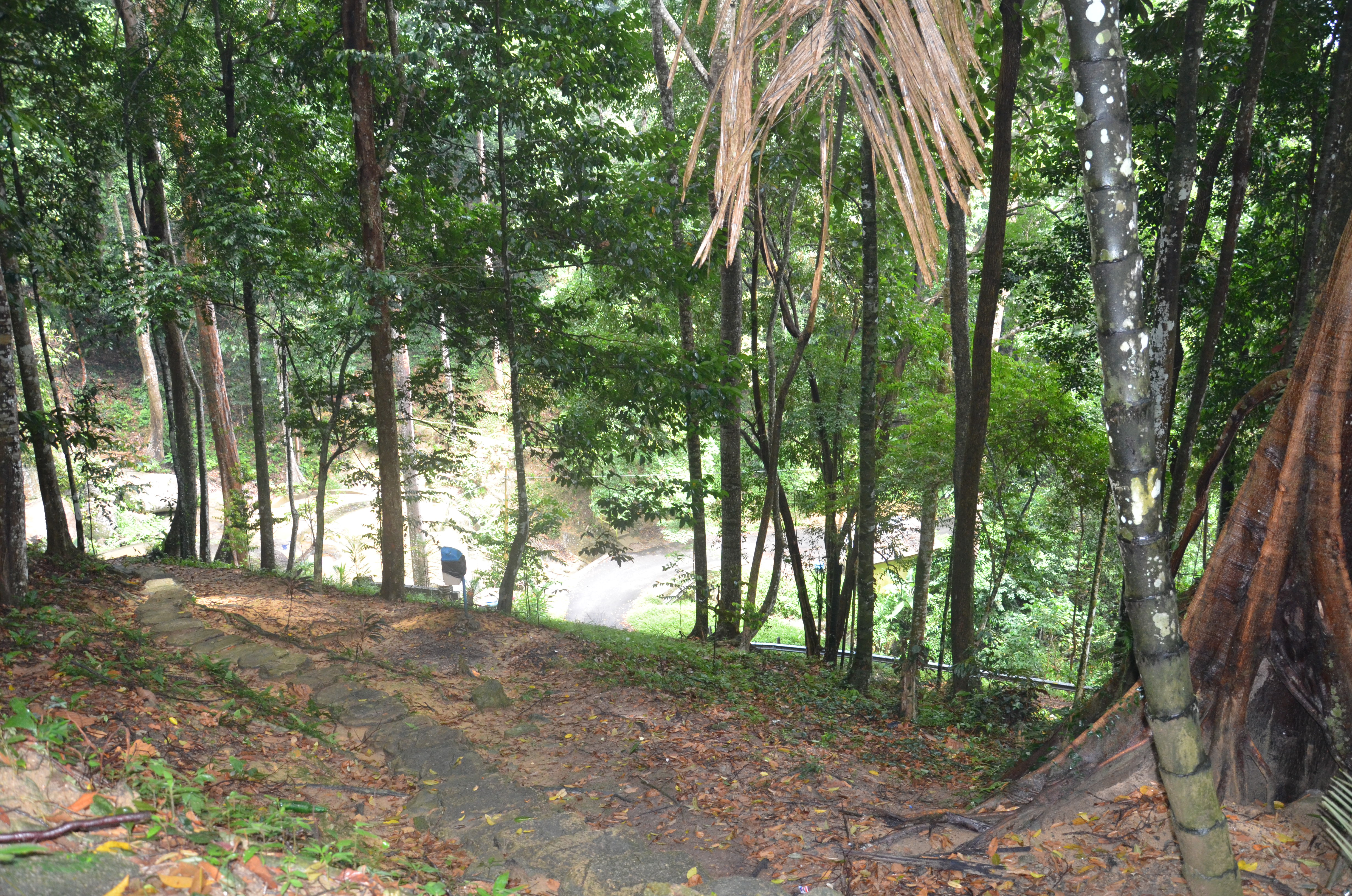 Gunung Tampin Forest Eco-Park