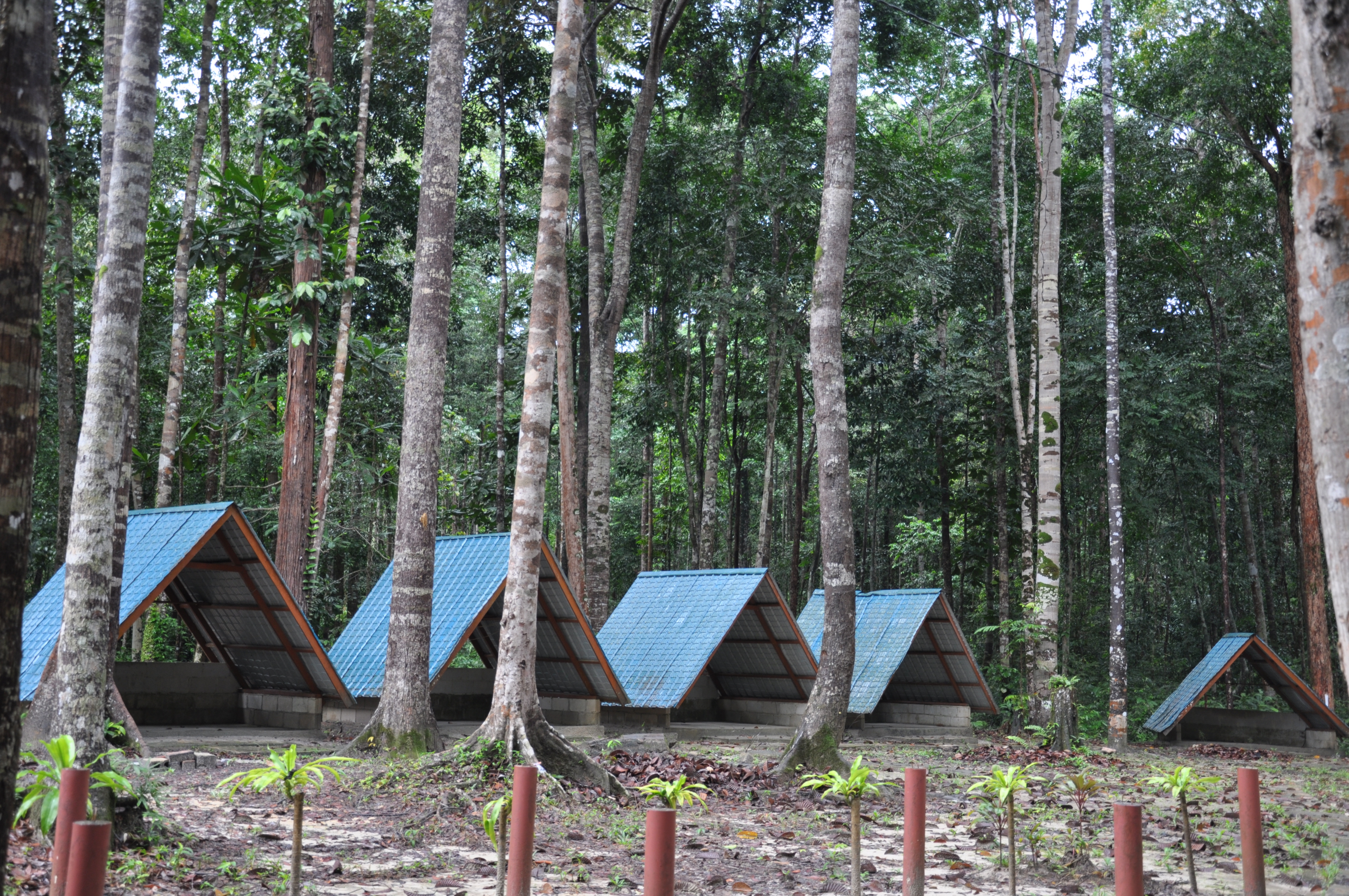 Taman Eko-Rimba Gunung Arong 