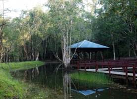 Jambu Bongkok Forest Eco park