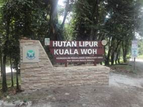 Kuala Woh Reserved Forest