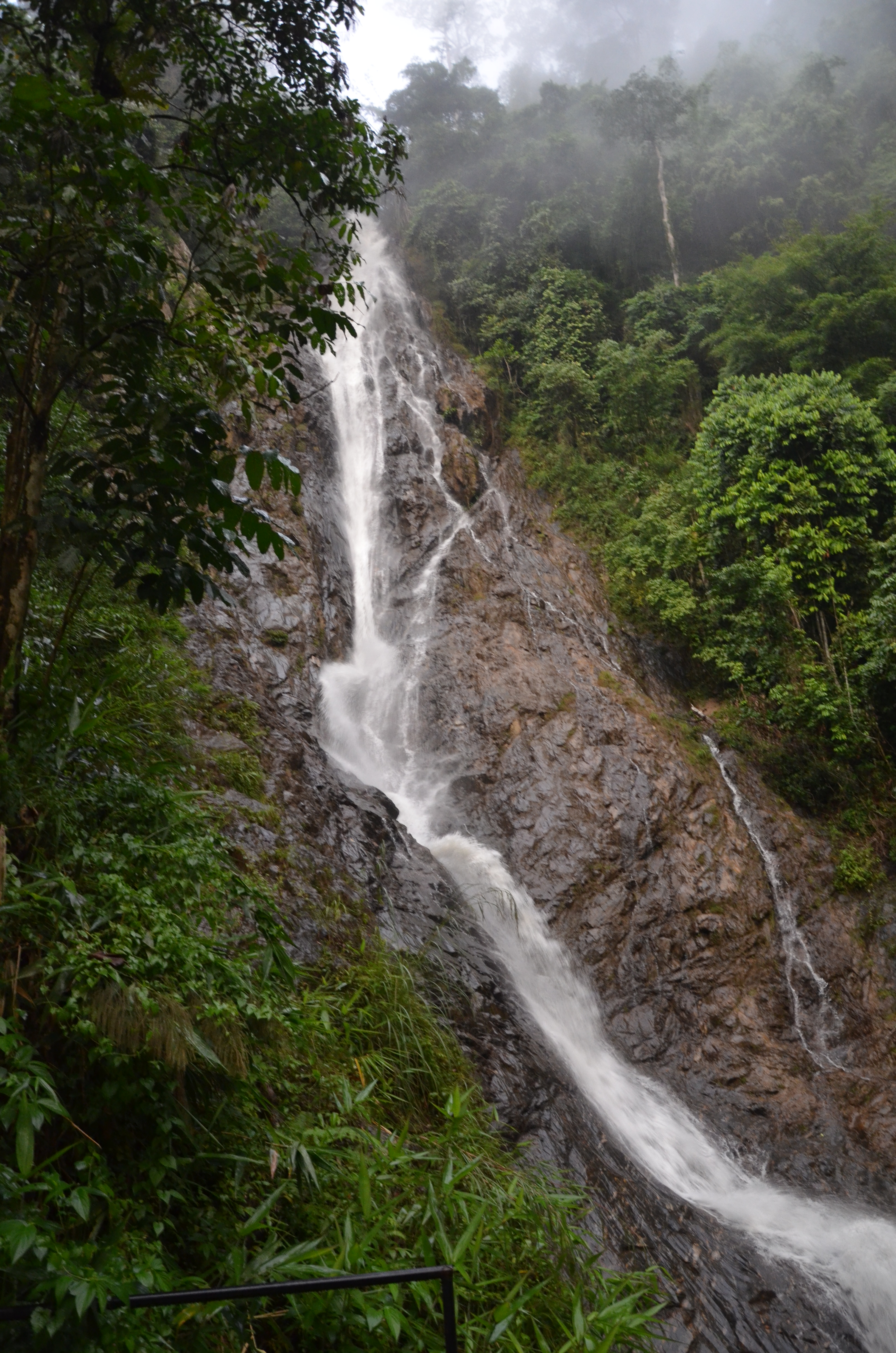 Taman Eko-Rimba Lata Kijang 