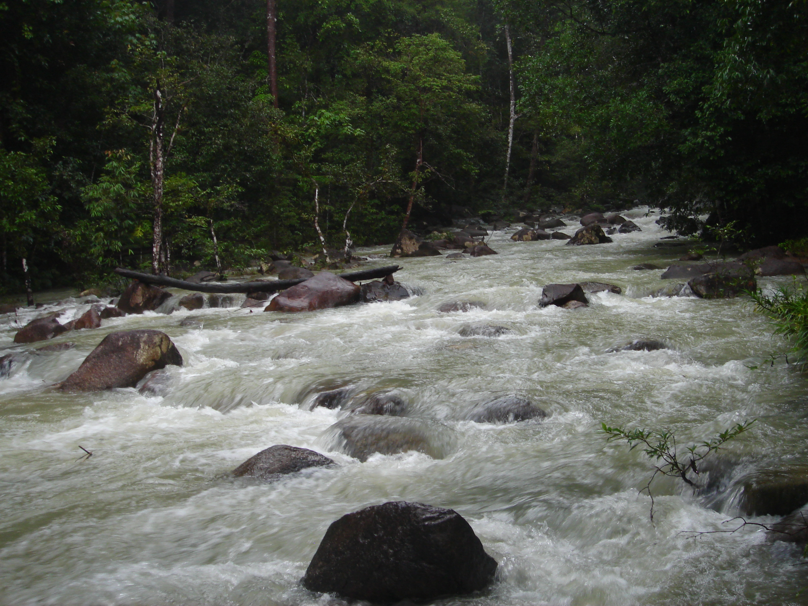 Lata Tujuh Forest Eco-Park