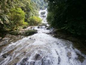 Lata Kinjang Forest Eco Park