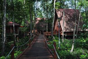 Eco-Education Center Matang Mangrove Forest