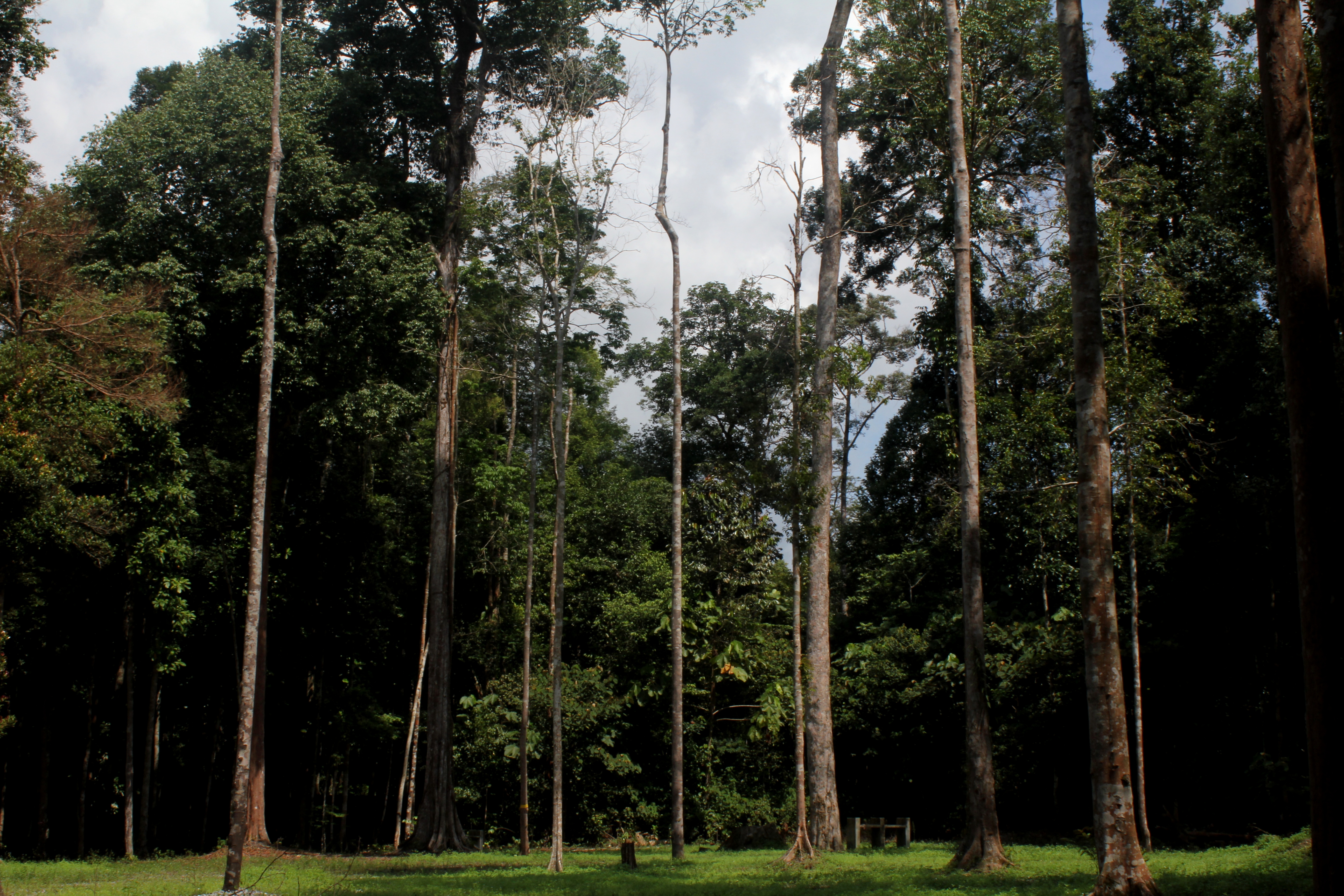 Taman Eko-Rimba Panti 