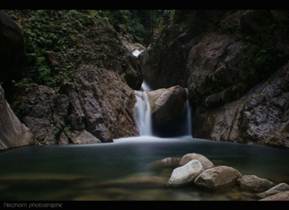 Hutan lipur lata payung