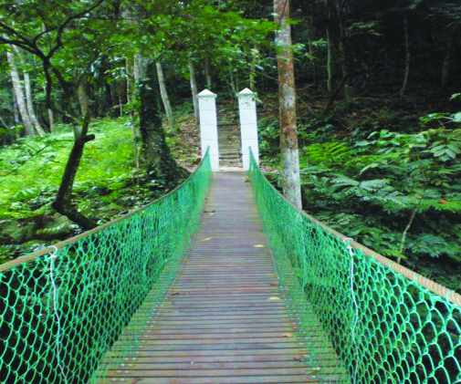 Serting Ulu Forest Eco-Park