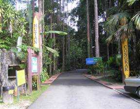 Sungai Chongkak Amenity Forest