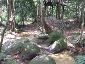Taman Eko Rimba Sungai Salu