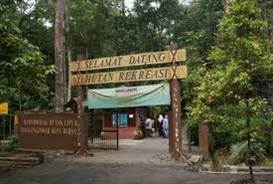 Sungai Tekala Amenity Forest