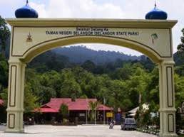 Hutan Lipur Sungai Tua