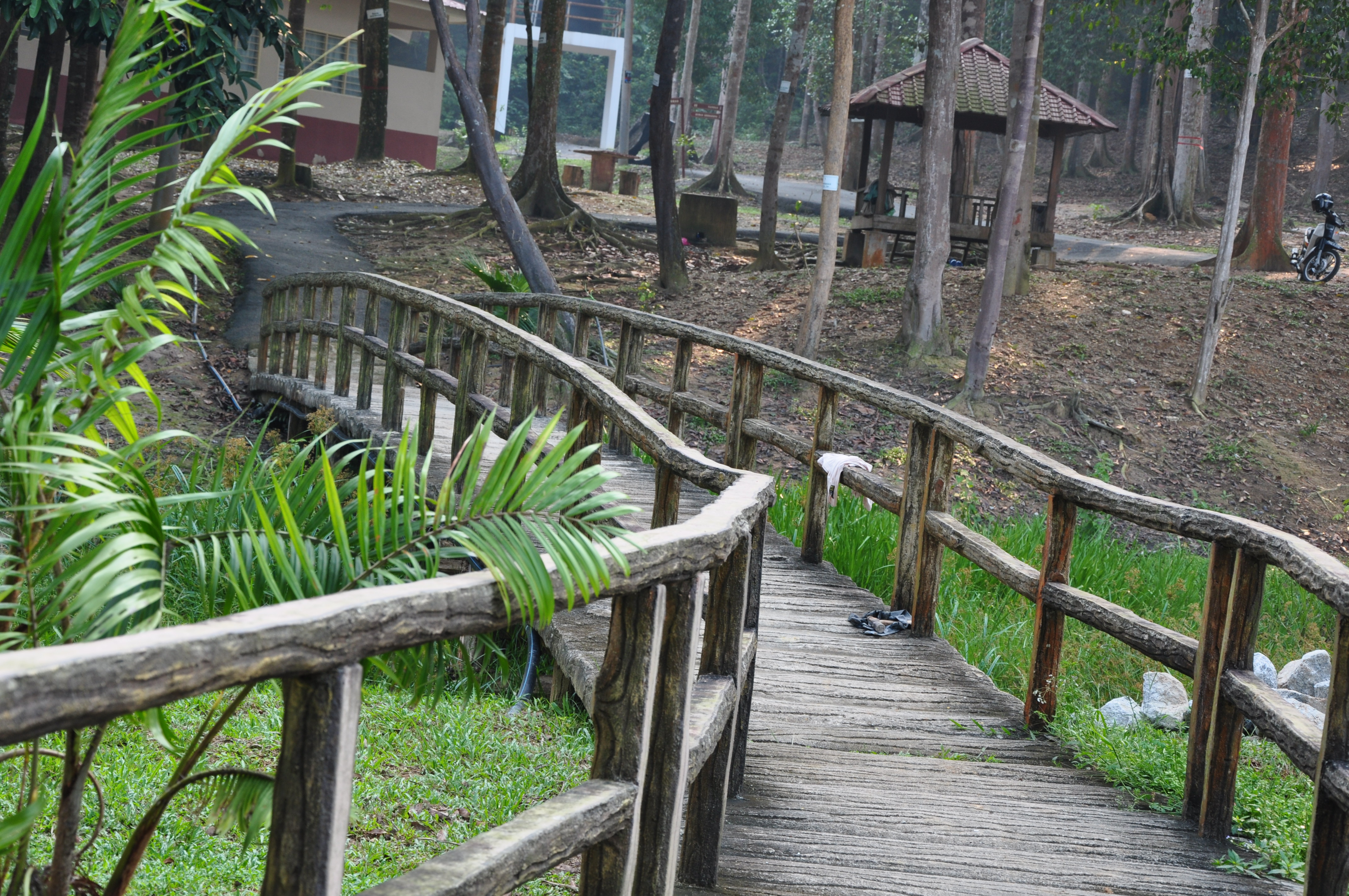 Sungai Udang Forest Eco-Park