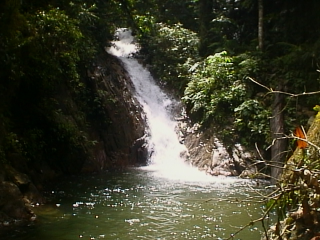 Taka Melor Forest Eco-Park