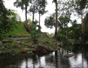 Hutan Taman Rimba Templer 