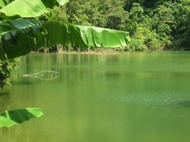 Hutan Lipur Tasik Meranti 