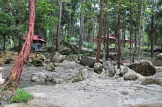 Telok Bahang Amenity Forest