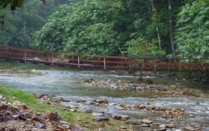 Lata Tembakah Amenity Forest