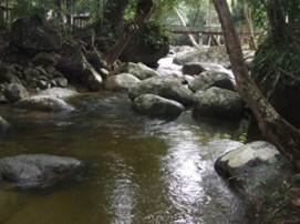 Hutan Lipur Ulu Kenas