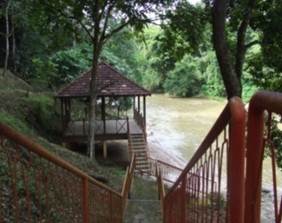 Ulu Kinta Amenity Forest