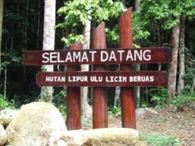 Ulu Licin Amenity Forest